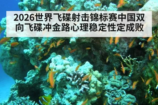 2026世界飞碟射击锦标赛中国双向飞碟冲金路心理稳定性定成败